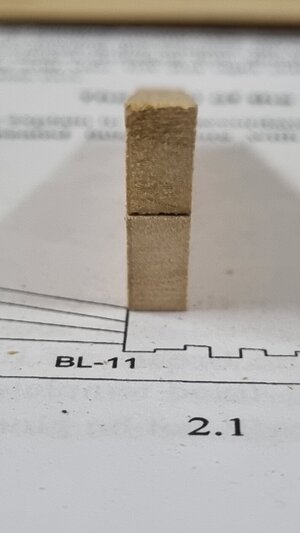 20220221_145541.jpg