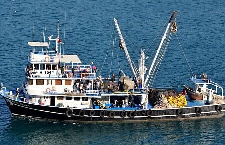 Gulf Shrimp Trawler Louisiana Work Boat Wooden Fishing Model 25 -  CaptJimsCargo