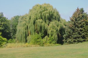 DSCN3850.JPG