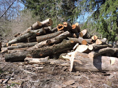 DSCN0718.JPG DSCN0718.JPG