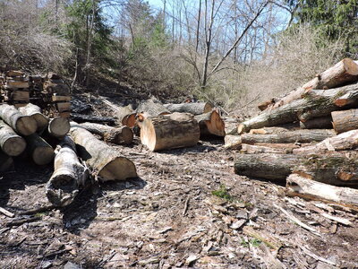 DSCN0719.JPG DSCN0719.JPG