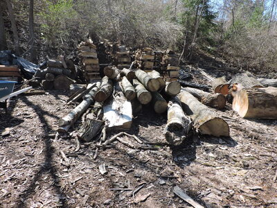 DSCN0720.JPG DSCN0720.JPG