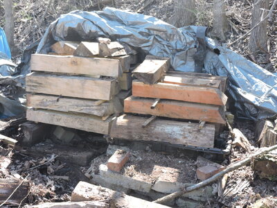 DSCN0721.JPG DSCN0721.JPG