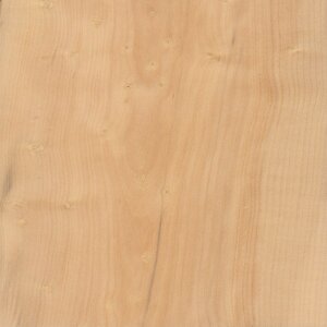 boxwood-s.jpg