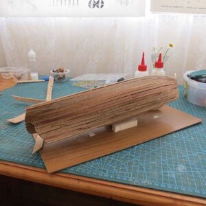 13 Ready for Filling and Sanding.jpg