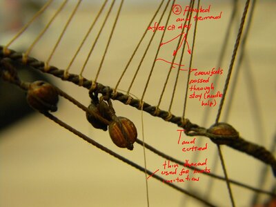 20220529_134417.jpg 20220529_134417.jpg