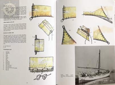 IMG_0381a.jpg IMG_0381a.jpg