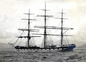 Argonaut (Large).JPG