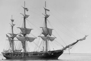 constellation_1888g.jpg