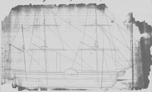 Sea Steamer.jpg