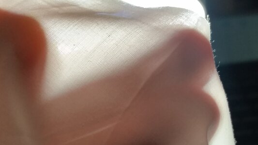 Backlit Transparency.jpg