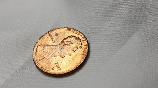 Weave with Penny.jpg