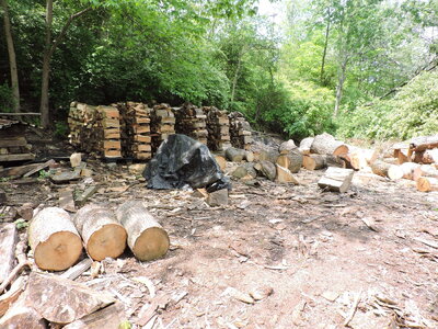 DSCN0894.JPG