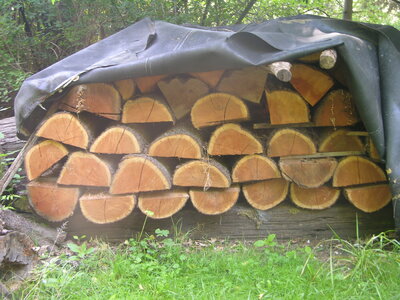 DSCN0596.JPG
