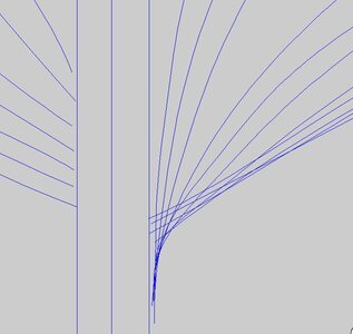 body plan3.JPG