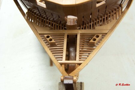 ESC8084.jpg
