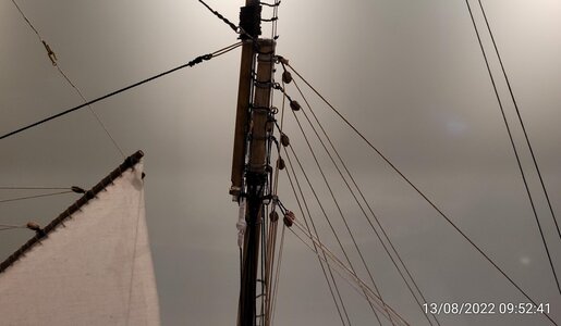 IMG_20220813_095241.jpg