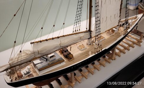 IMG_20220813_095427.jpg