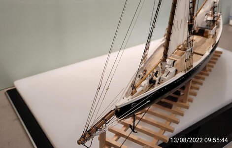 IMG_20220813_095544.jpg