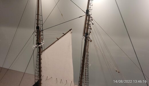IMG_20220814_134616.jpg