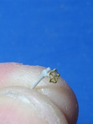 IMG_20220725_201212735.jpg