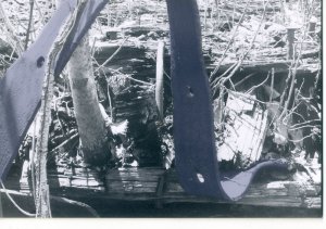 argo strapping 2.jpg