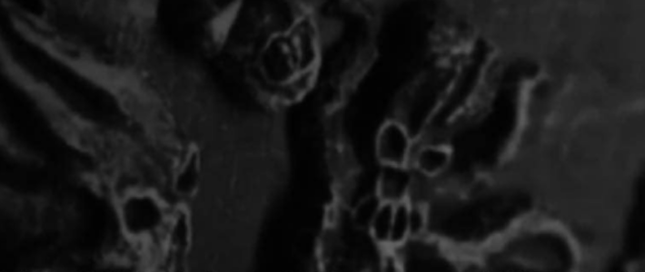 Screenshot 2022-09-15 115632.png