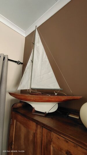 IMG_20221003_140905.jpg