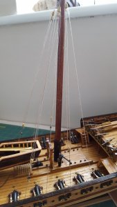 20180722_065954.jpg