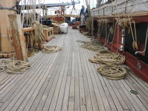 deck2.jpg