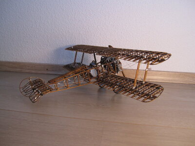 IMG_4716.JPG