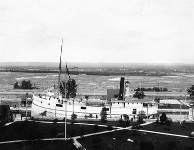 Tilley at Soo_220829_075208.jpg