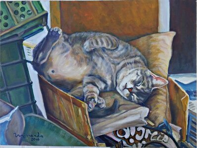 Tom durmiendo(1).jpg