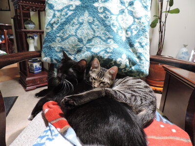 DSCN1487.jpg