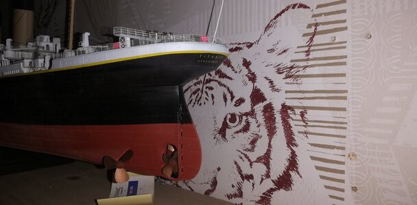 IMG_20221107_081856.jpg