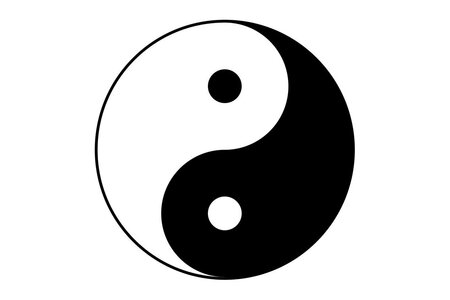 0002918_yin-yang-symbol-stamp.jpeg