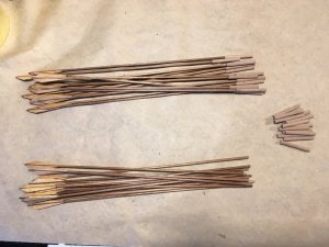 IMG_3235.JPG IMG_3235.JPG