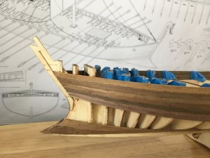 IMG_3143.JPG IMG_3143.JPG