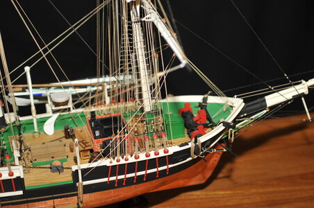 DSC_7988.JPG