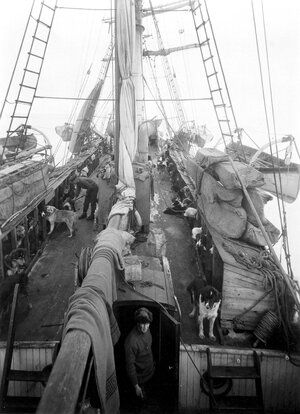 shackleton-8.jpg