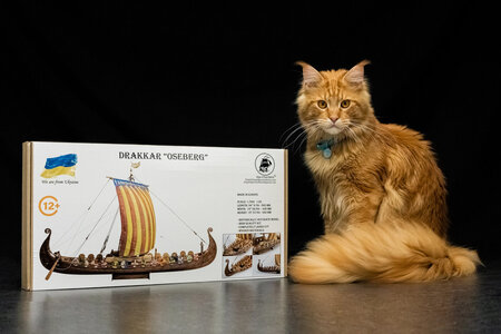 001-OSEBERG.jpg