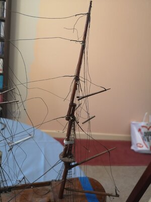 IMG_20220127_124922.jpg