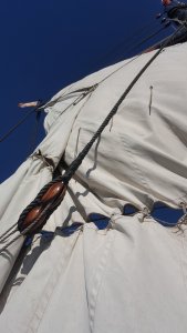 20180805_102902.jpg