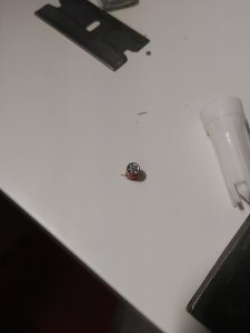 20180807_170234.jpg