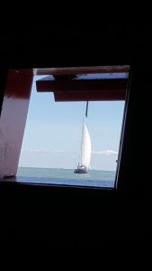 20180805_125014.jpg