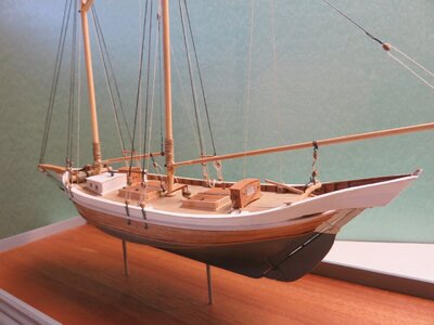Dove stern.jpeg