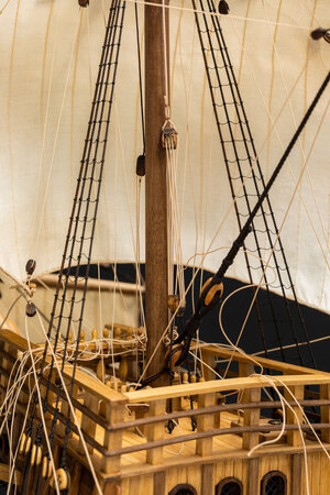 368-FORESAIL.jpg