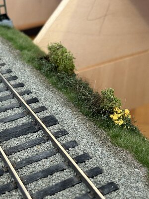 4-Bahnen_20230307_5.jpg