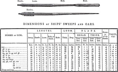 oars1.jpg