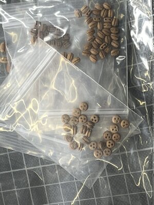 IMG_1617.jpg IMG_1617.jpg